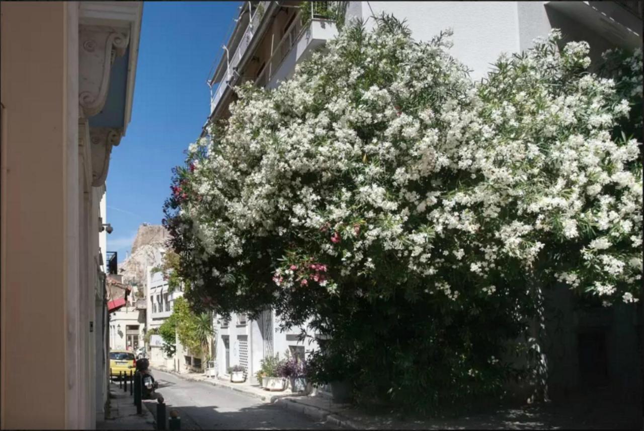 Back To Tradition, By The Acropolis! Atenas Exterior foto